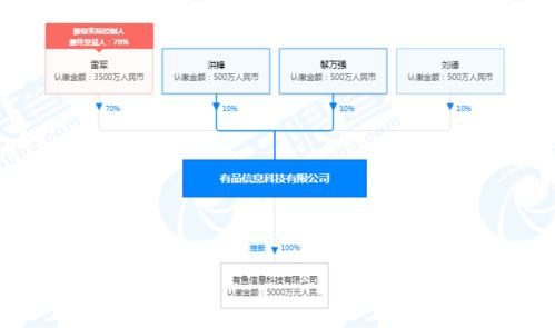 小米有品業(yè)務(wù)擴(kuò)展 新增家用電器安裝與信息系統(tǒng)運(yùn)維服務(wù)